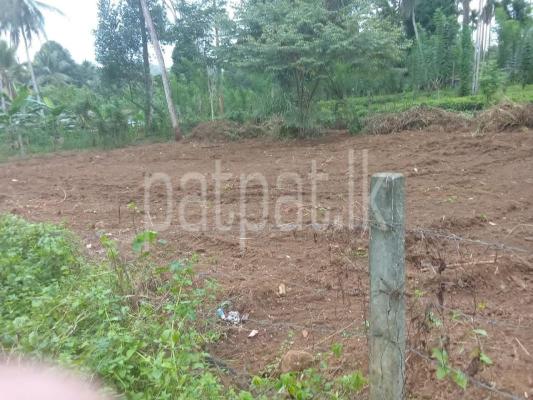 premium-listing-image