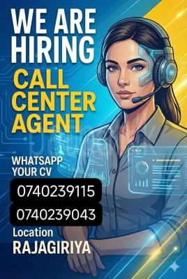Call Center Asistant
