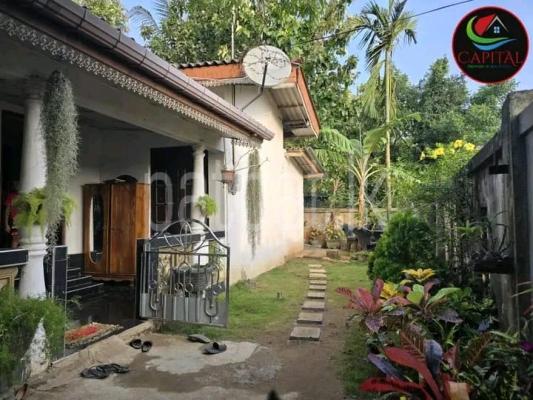 premium-listing-image