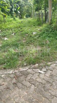Residential Land for Sale in Hakmana