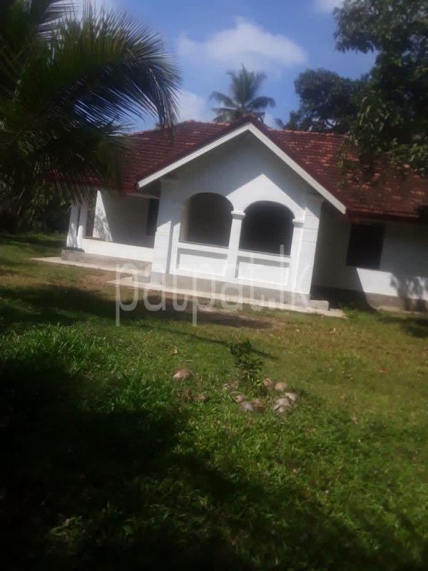 Agricultural Land for Sale in Pannala
