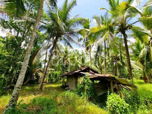 premium-listing-image