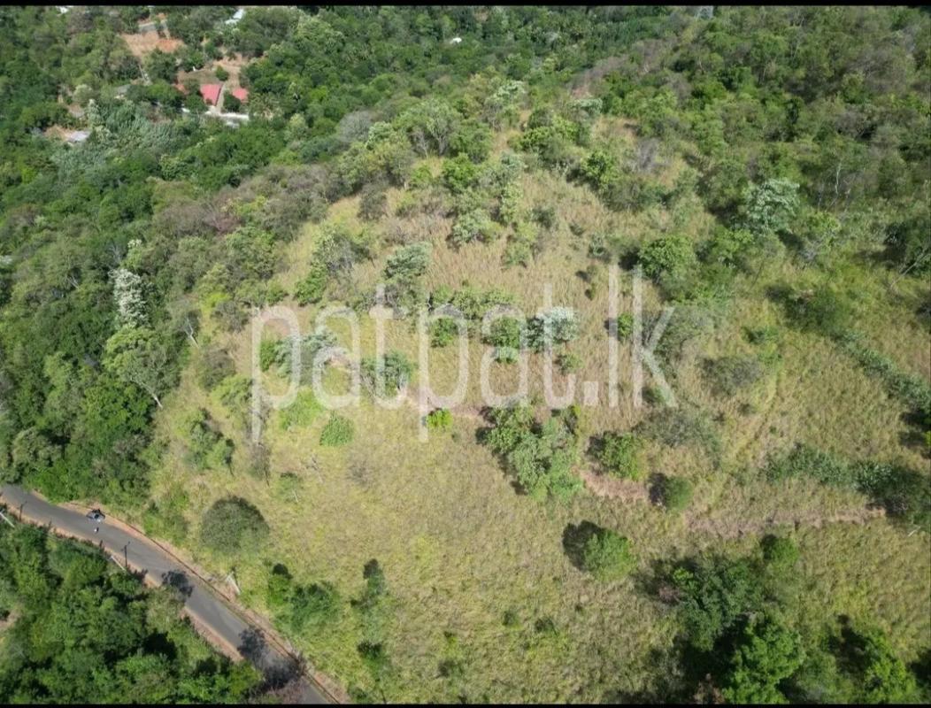 Residential Land for Sale in Ella