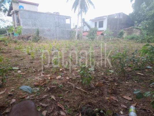 premium-listing-image