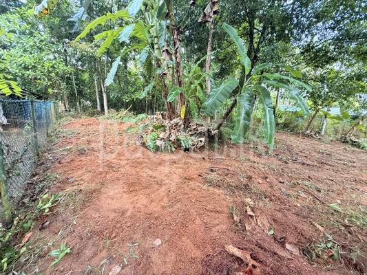 premium-listing-image