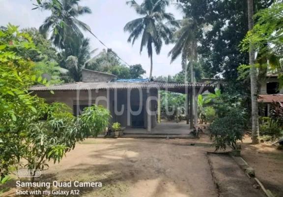 premium-listing-image