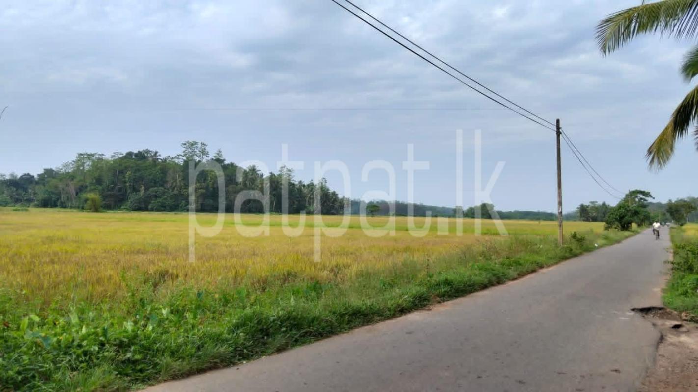 Agricultural Land for Sale in Dodangoda