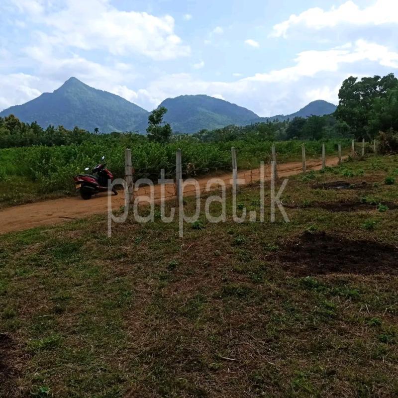 Residential Land for Sale in Kandana