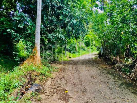 Residential Land for Sale in Digana