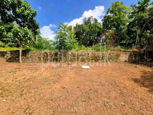 premium-listing-image