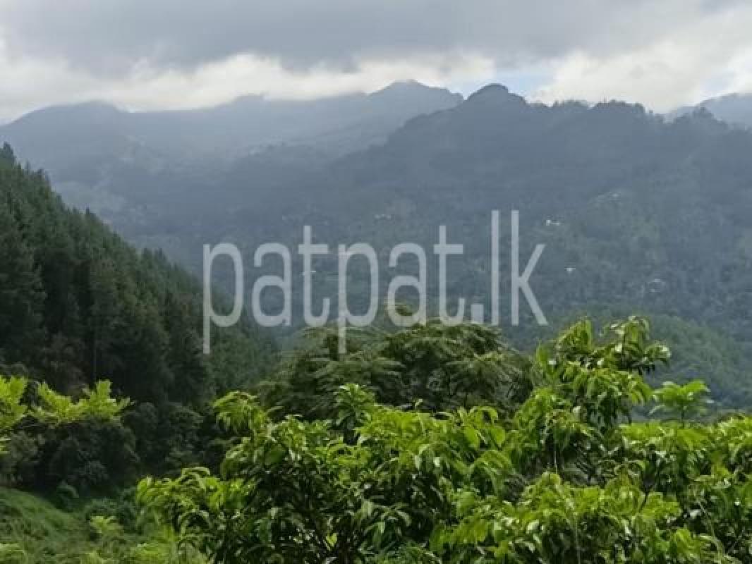 Agricultural Land for Sale in Hunnasgiriya