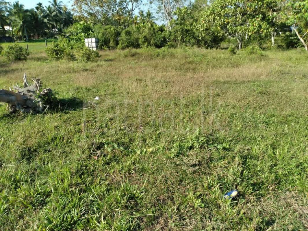 Commercial Land for Sale in Bandaragama