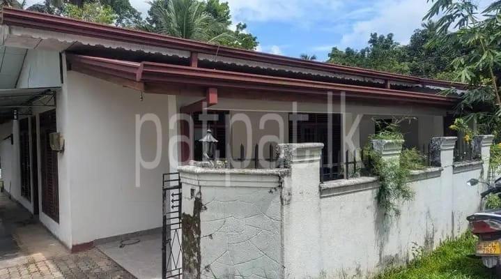 premium-listing-image