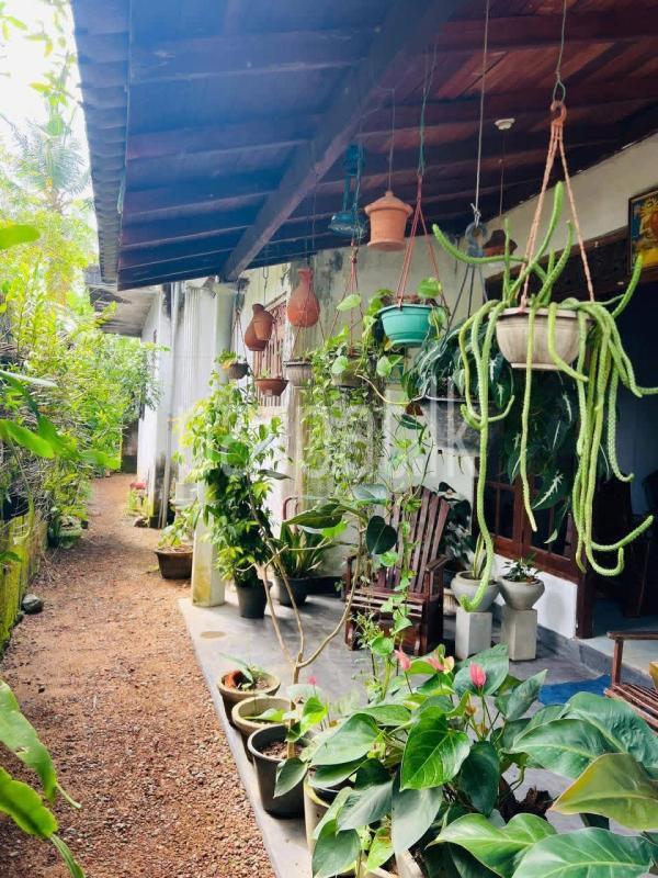 House for Sale in Galle