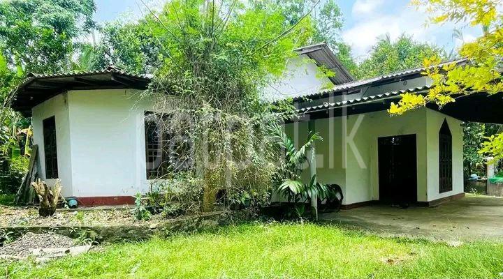 premium-listing-image