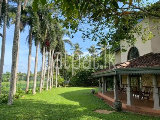 premium-listing-image