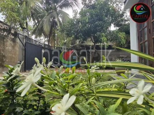 premium-listing-image