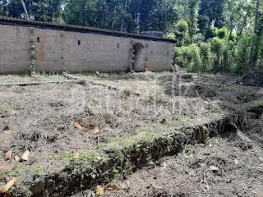 premium-listing-image