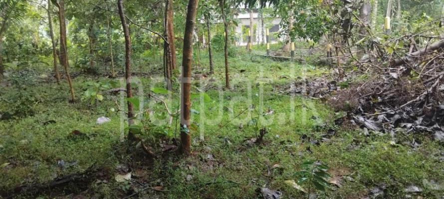 Commercial Land for Sale in Dambulla