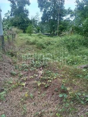 premium-listing-image