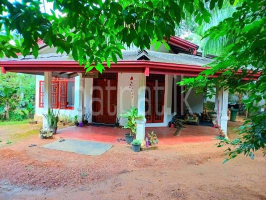 premium-listing-image