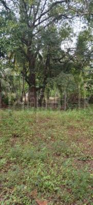 Residential Land for Sale in Kataragama