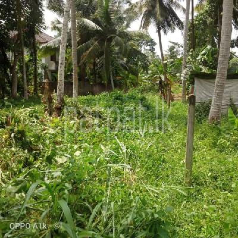 Residential Land for Sale in Veyangoda