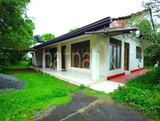 premium-listing-image