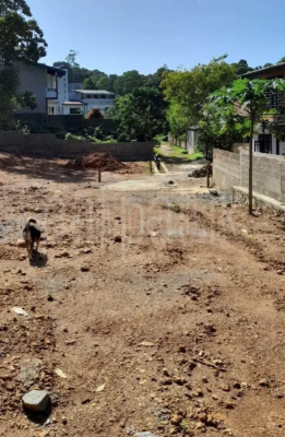 premium-listing-image