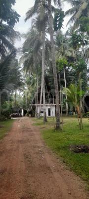 premium-listing-image