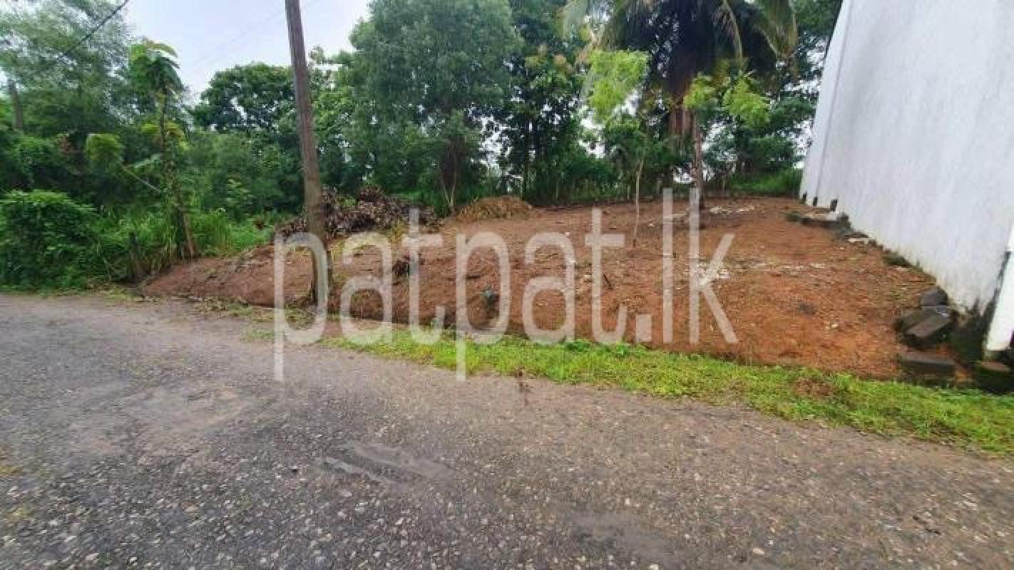 Agricultural Land for Sale in Malabe