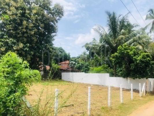 Residential Land for Sale in Katana