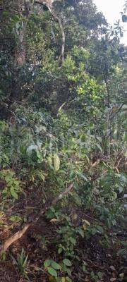 premium-listing-image