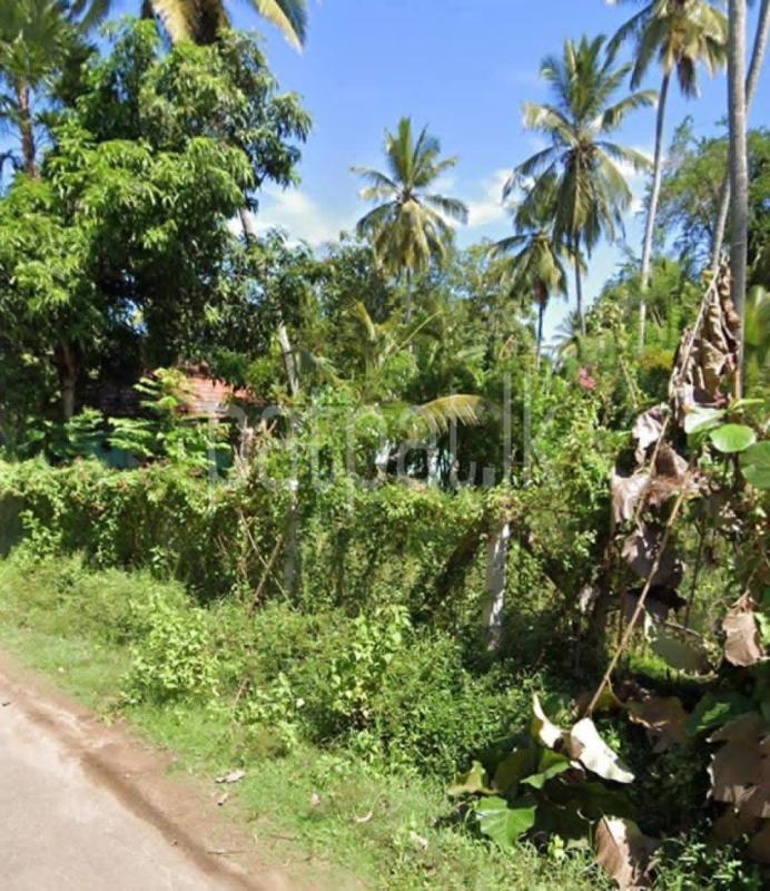 Residential Land for Sale in Weeraketiya