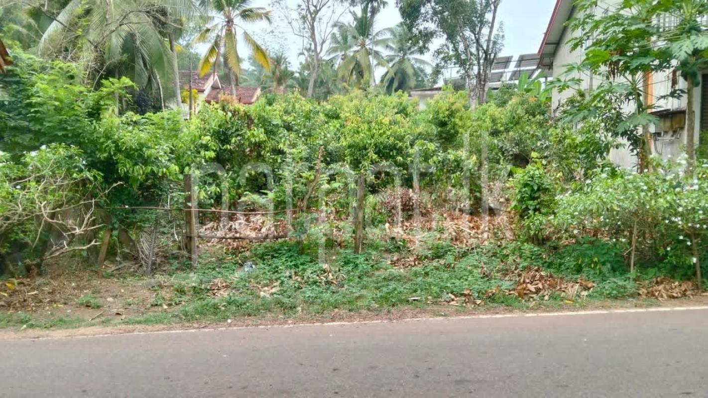 Agricultural Land for Sale in Dodangoda