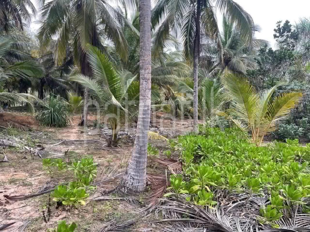 Commercial Land for Sale in Tangalla
