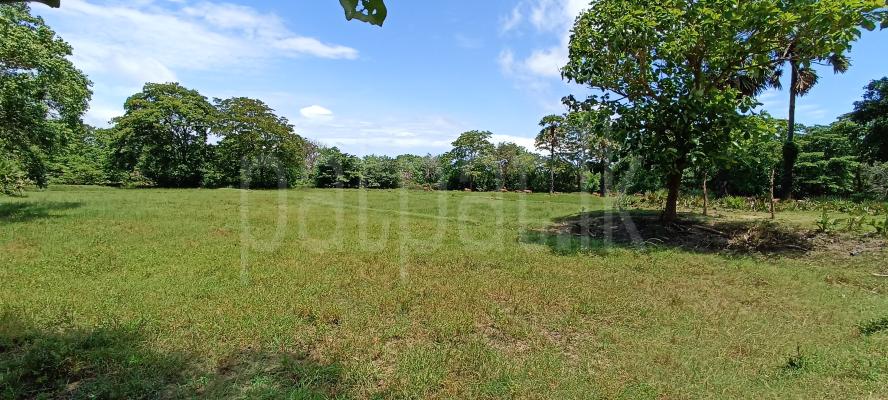 Commercial Land for Sale in Puttalam
