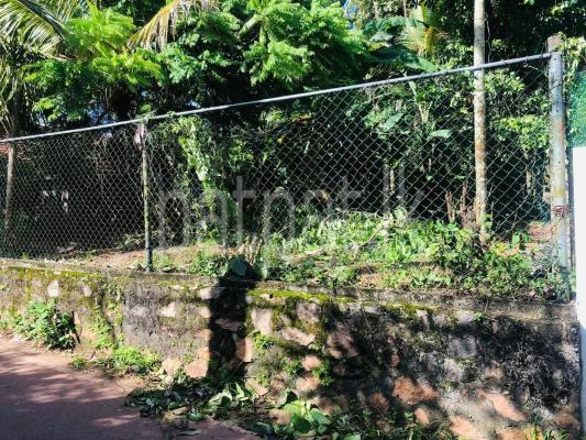 premium-listing-image