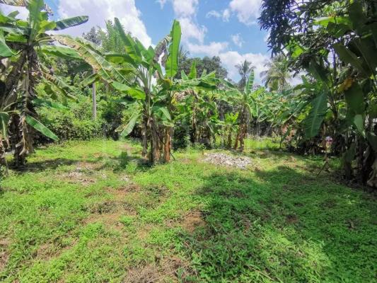 Residential Land for Sale in Horana