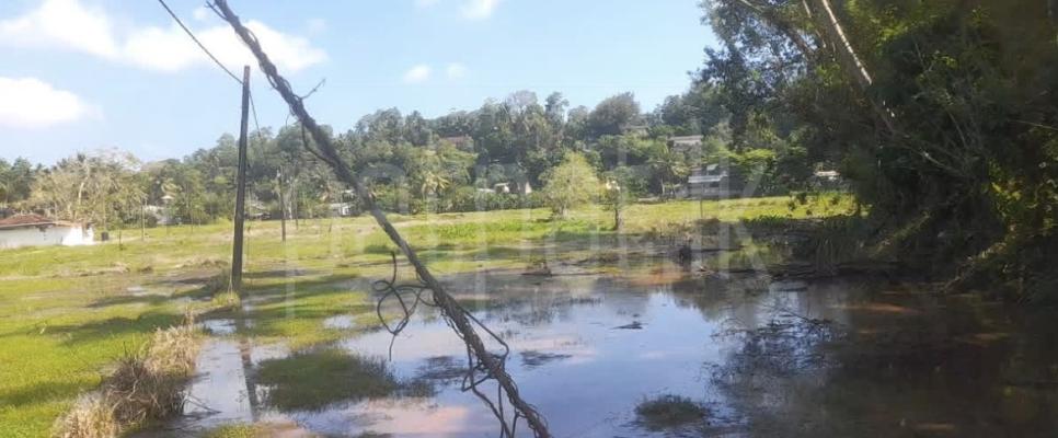 Agricultural Land for Sale in Adampan