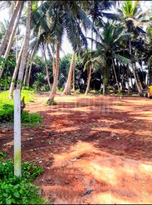 premium-listing-image