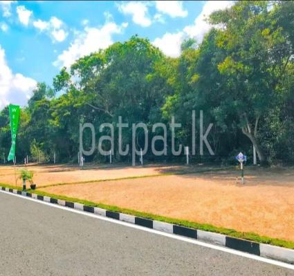 Residential Land for Sale in Dodangoda