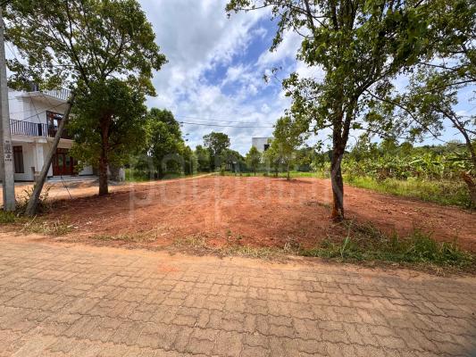 Residential Land for Sale in Dambulla