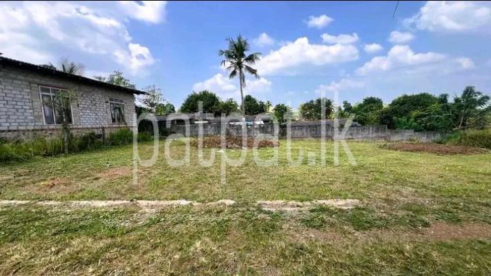 premium-listing-image