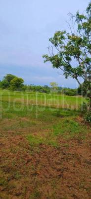 Agricultural Land for Sale in Kataragama