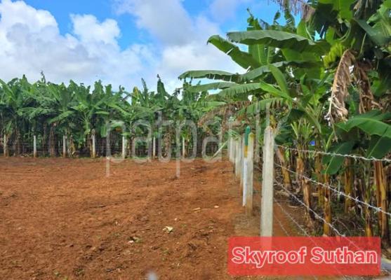 Agricultural Land for Sale in Urumpirai