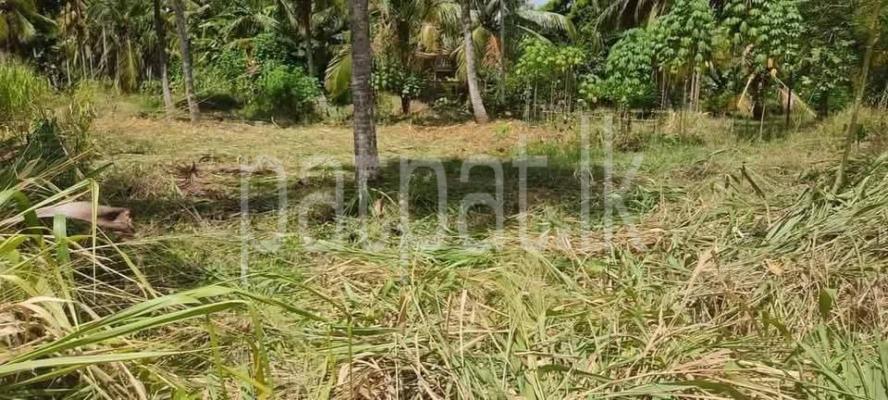 Commercial Land for Sale in Embilipitiya