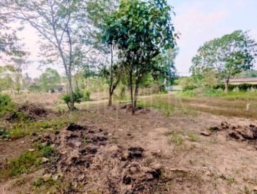 Residential Land for Sale in Nittambuwa