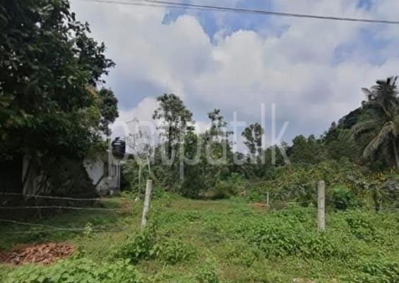 premium-listing-image