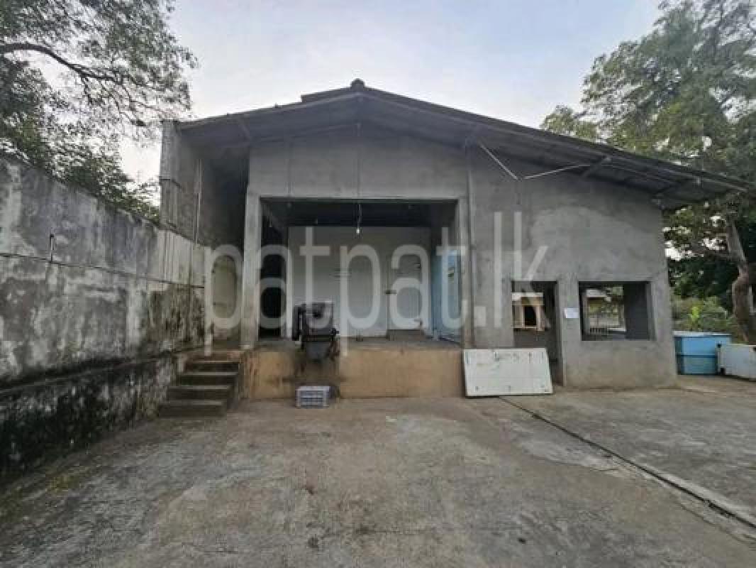Commercial Land for Sale in Hungama